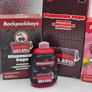 Backpack Boyz 2g Disposable