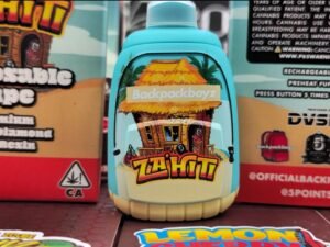 Zahiti Backpackboyz Disposable
