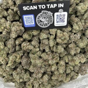 Black Cherry Gelato weed