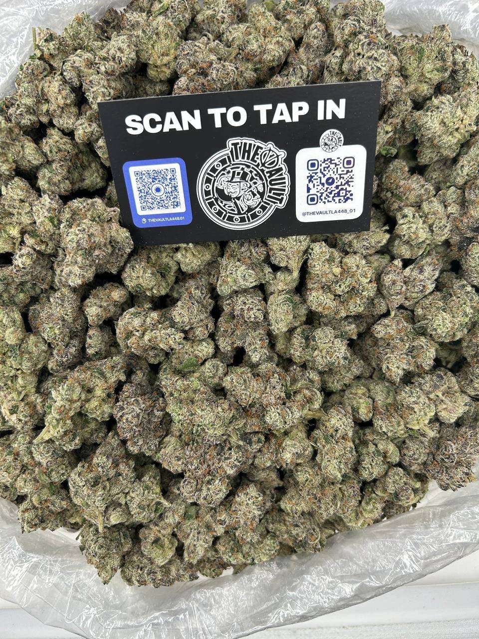 Black Cherry Gelato weed