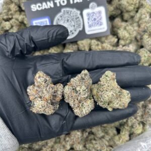 Black Cherry Gelato weed